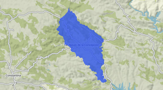 Precios inmobiliarios Las Navas De Las Concepcion