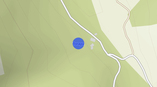 Precios inmobiliarios Torayo