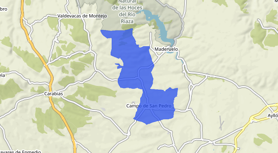 Precios inmobiliarios Campo De San Pedro