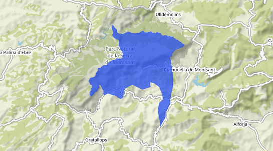 Precios inmobiliarios La Morera De Montsant