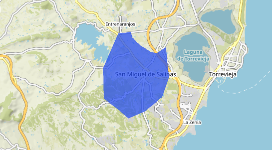 Precios inmobiliarios San Miguel De Salinas