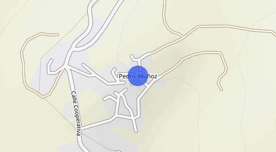 Precios inmobiliarios Pedro Muñoz