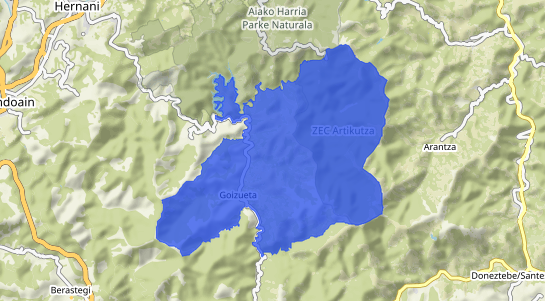 Precios inmobiliarios Goizueta