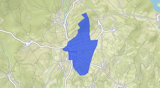 Precios inmobiliarios Gopegi