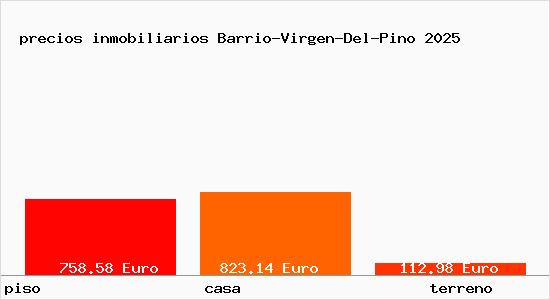 precios inmobiliarios Barrio-Virgen-Del-Pino