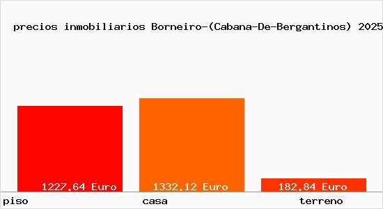 precios inmobiliarios Borneiro-(Cabana-De-Bergantinos)