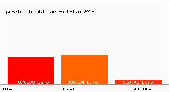 precios inmobiliarios Loizu